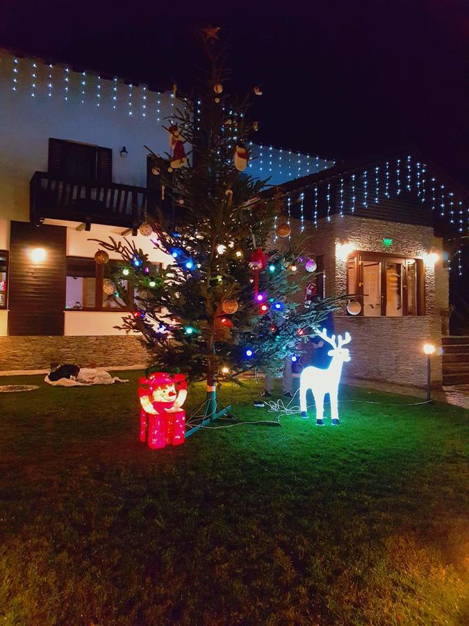 Pensiunea Campia Soarelui Apa Neagră Екстериор снимка